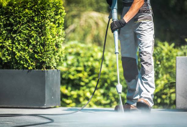 Best Restaurant Pressure Washing  in West Plains, MO