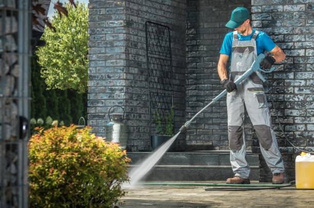 Best Roof Washing  in West Plains, MO